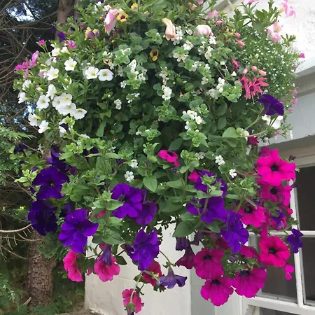 The Masons Arms Hotel